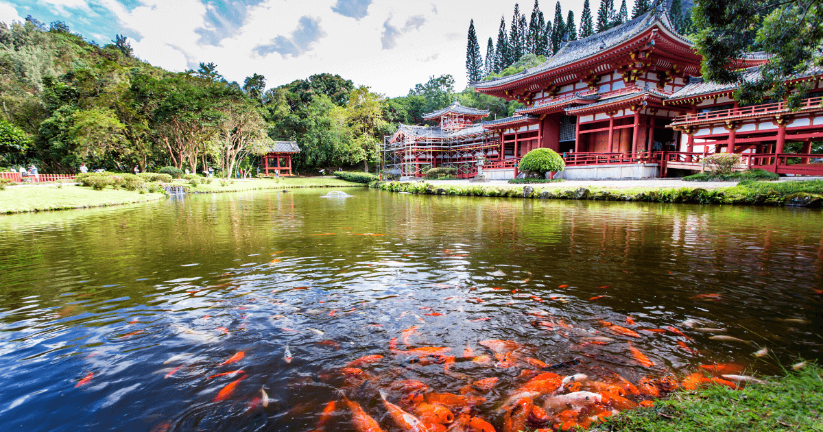 Byodo-In Temple with fish-filled pond in the foreground