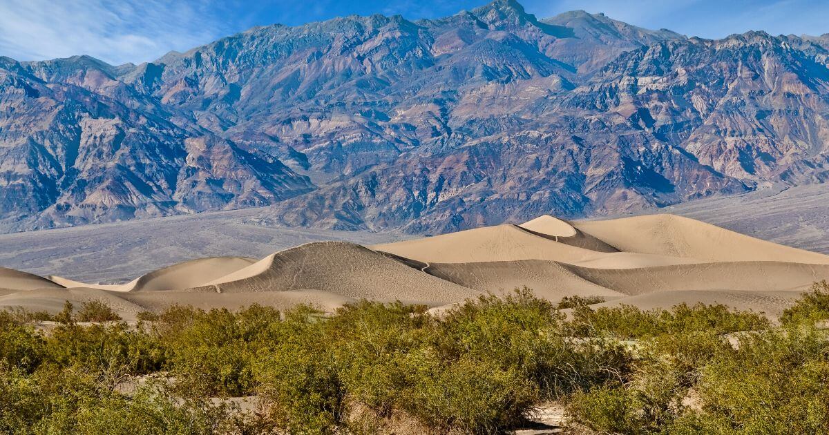 Desert landscape at Mesquite Flat Sand Dunes in Death Valley, one of the most unique California Nature Spots, with plants in the foreground, dunes in the centre, and mountains in the background