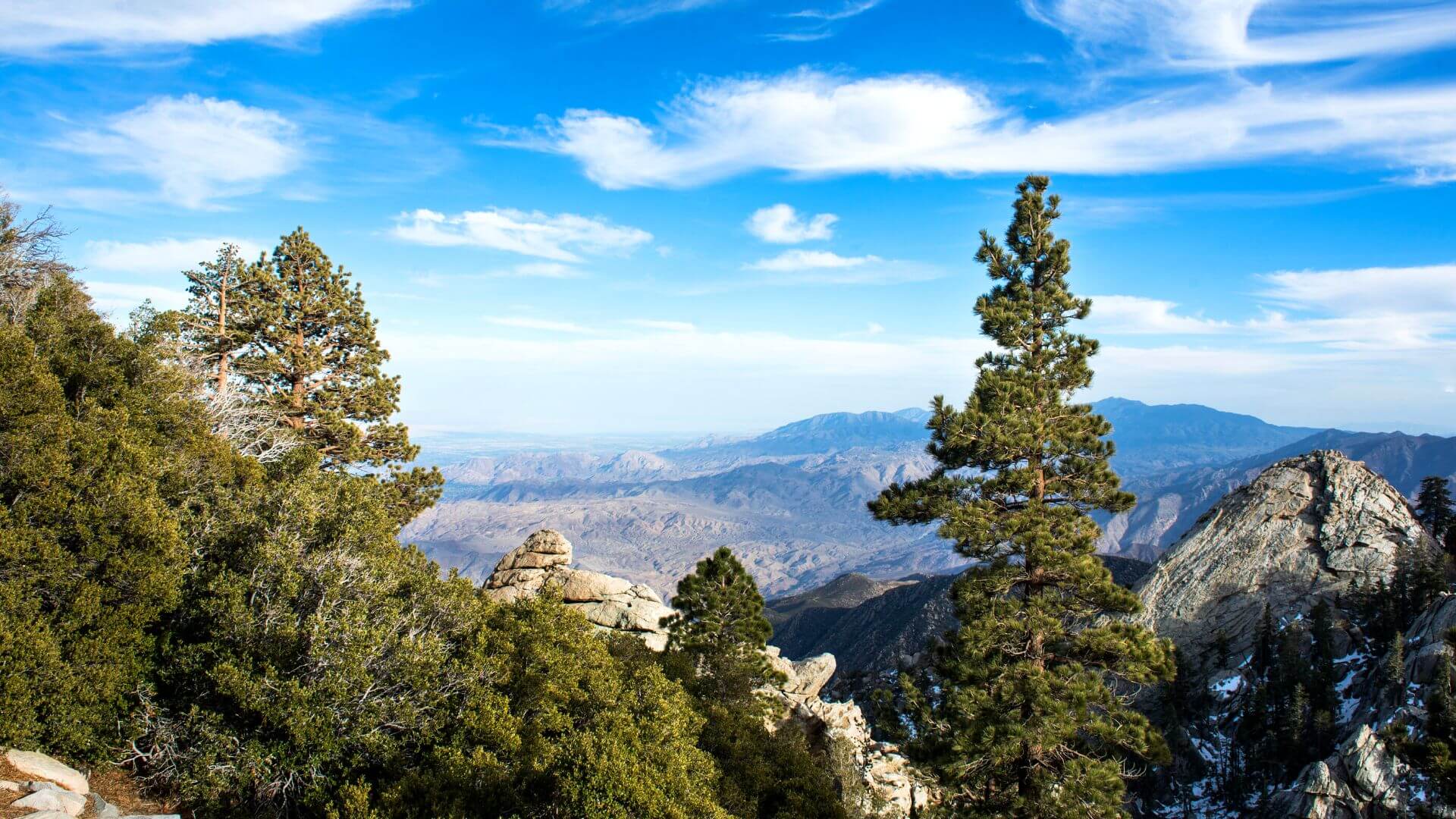 View from Mount San Jacinto, with trees in the foreground and mountains in the back