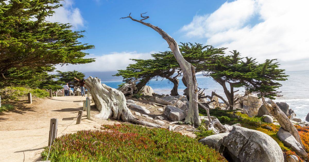 Pescadero Point at 17 Mile Drive, Pebble Beach