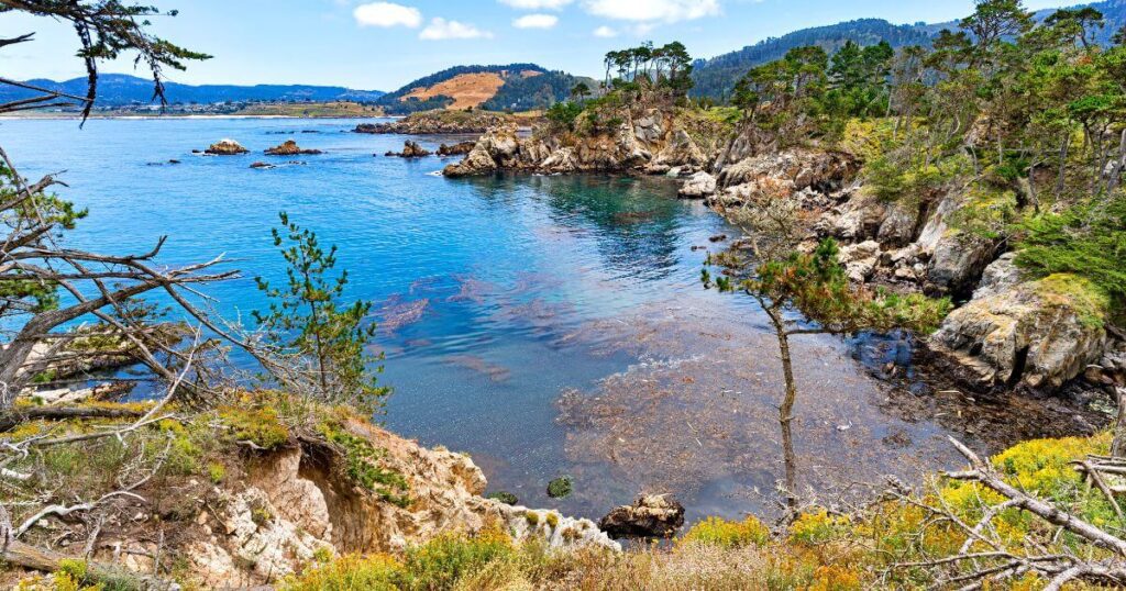 Stunning scenery with cliffs, lush trees, and blue water at Point Lobos