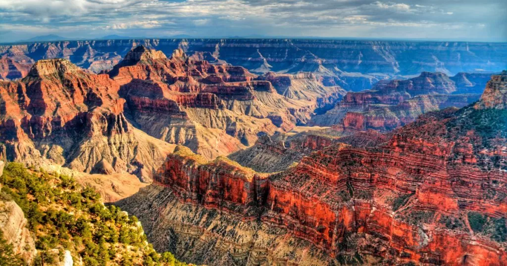 Breathtaking view of the Grand Canyon, showcasing its vast expanse of layered red rock formations, deep valleys, and rugged cliffs. The interplay of light and shadow accentuates the canyon's intricate details, while a few green shrubs in the foreground contrast against the vibrant geological landscape.