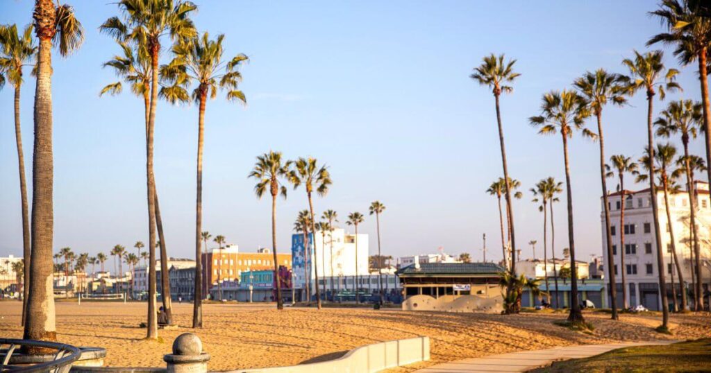 View of Venice Beach Boardwalk, with palm trees