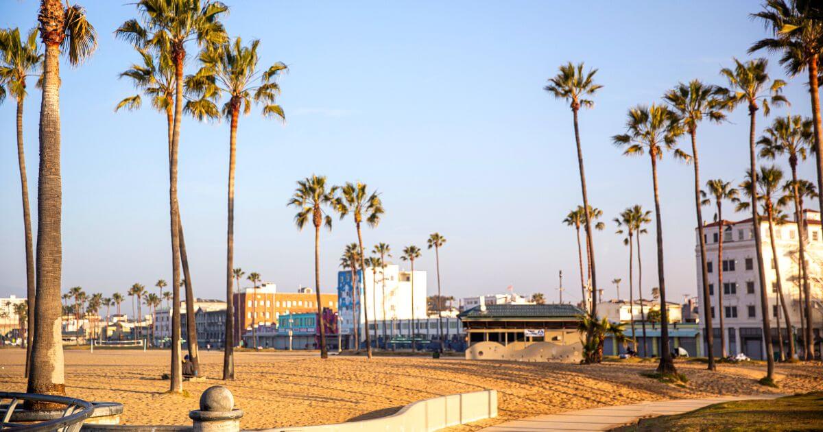 View of Venice Beach Boardwalk, with palm trees