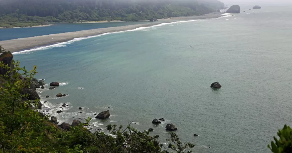 View from Klamath Overlook showing a sweeping vista of the rugged coastline, with the serene Klamath River flowing into the misty Pacific Ocean, surrounded by lush greenery