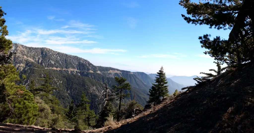 Expansive view of the Angeles National Forest, with its towering pine trees and rugged terrain, a natural haven for outdoor enthusiasts and a highlight among the things to do in LA.