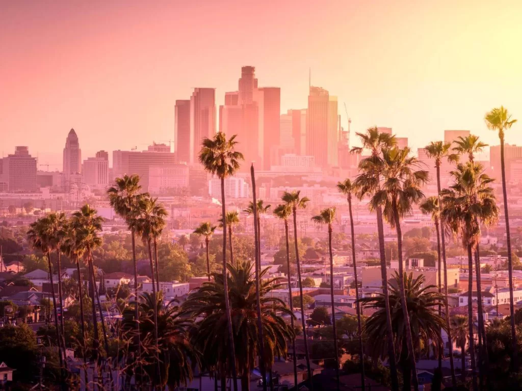 Sunset view over Los Angeles, with silhouettes of tall palm trees in the foreground and the city's skyline in the distance, highlighting the vibrant things to do in LA.