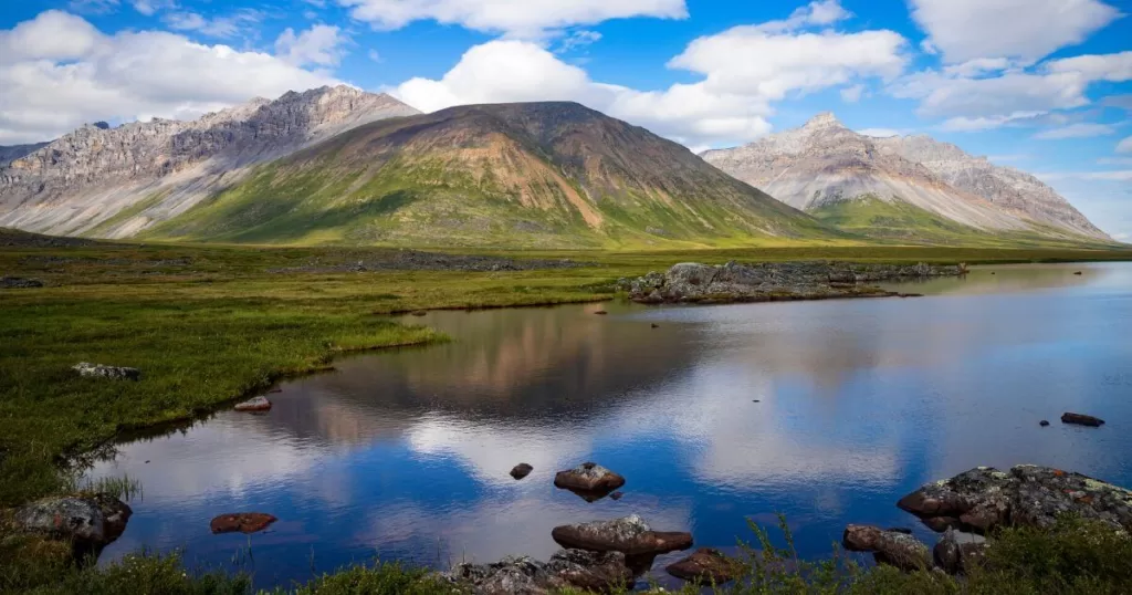 The pristine wilderness of Gates of the Arctic National Park, with vibrant green tundra sprawling across the valley floor, reflecting in the calm waters of a serene river. Majestic, rugged peaks rise dramatically under a vast, cloud-dappled blue sky, embodying the untouched beauty of one of the most remote national parks.