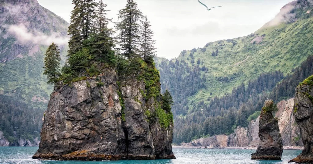 Dramatic sea stacks rise from the waters of Kenai Fjords National Park, topped with resilient spruce trees against a backdrop of mist-covered mountains and dense Alaskan wilderness, with a soaring bird high above, encapsulating the rugged beauty of the park.