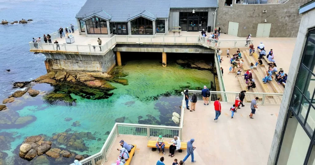 Visitors at Monterey Bay Aquarium enjoy the outdoor tide pool exhibit, engaging with marine life as one of the enriching things to do in California with kids.