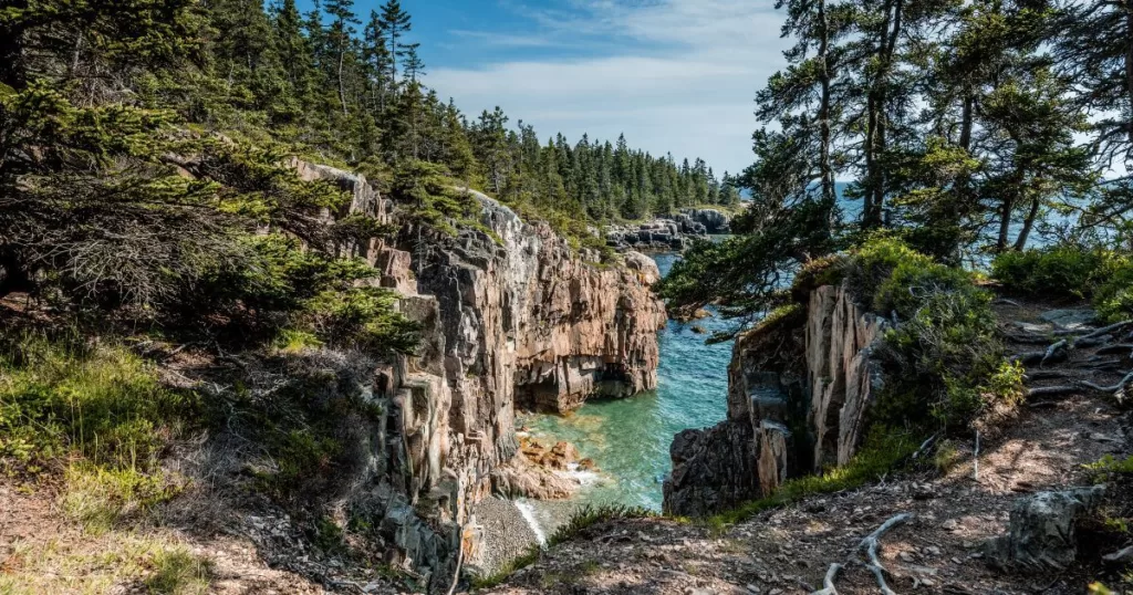 The rugged coastline of Acadia National Park, where forested cliffs meet the clear, tranquil waters of the Atlantic. Twisted trees and jagged rocks frame the serene ocean inlet under a bright blue sky, capturing the park's natural East Coast beauty.