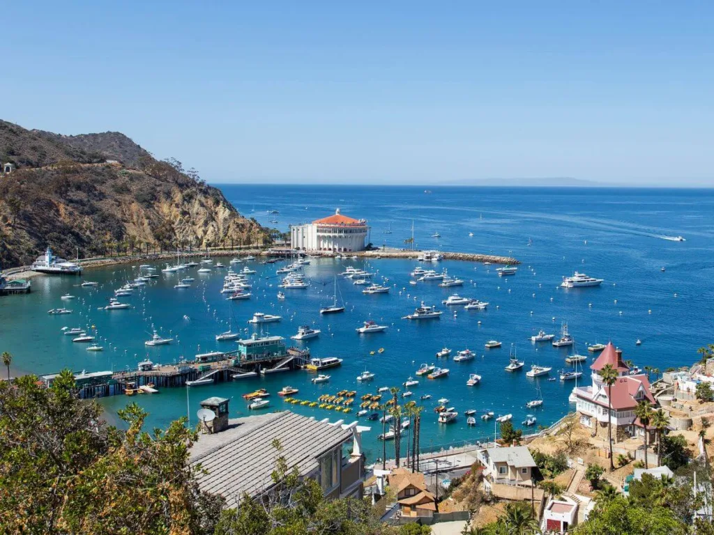 A panoramic view of Catalina Island showcasing the iconic Casino building overlooking a harbor filled with boats, clear blue waters, and surrounding hills, highlighting things to do on Catalina Island.