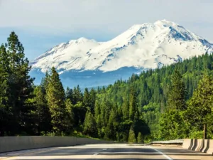 View of Mount Shasta covered in snow, seen from the Interstate 5 in California, highlighting one of the best stops along I-5 California amidst verdant forests under a clear blue sky.