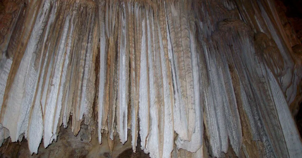 Stalactite formations inside Lake Shasta Caverns, showcasing the natural limestone wonders found within these ancient caves.