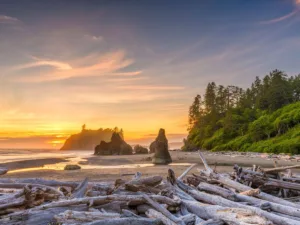 Sunset at Ruby Beach in Olympic National Park, showcasing the serene waters, driftwood-strewn sands, and lush greenery, one of the best places to visit on the US West Coast.