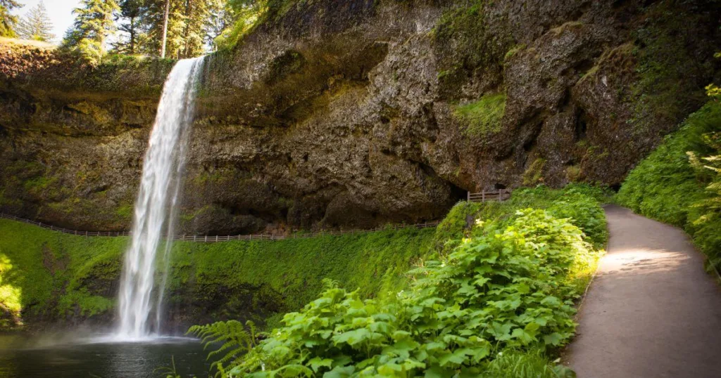 A peaceful trail leads to a cascading waterfall at Silver Falls State Park, surrounded by lush greenery and vibrant plant life, epitomizing the natural splendor found at this cherished destination among the places to visit in Oregon.